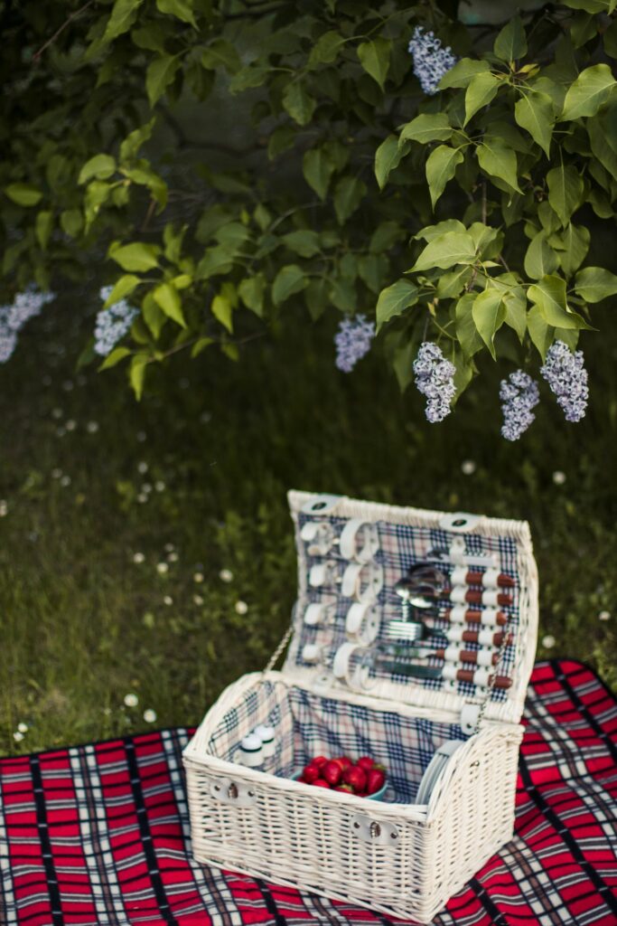 Aesthetic picnic setup