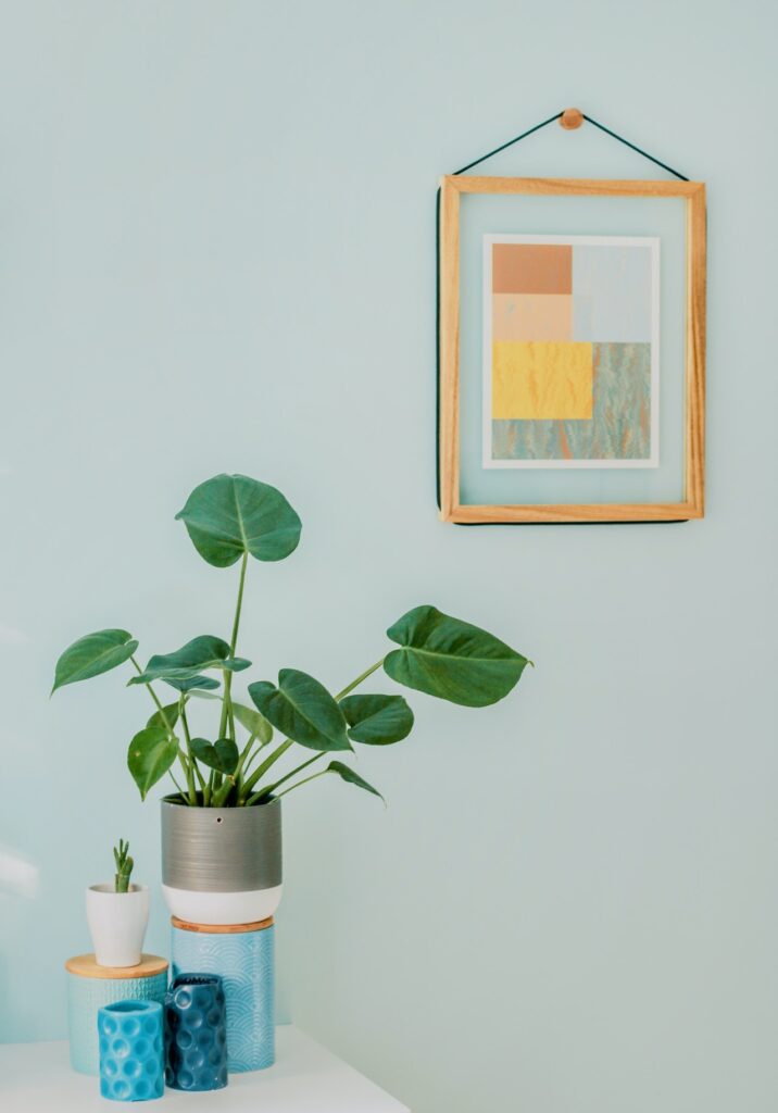 Featured plants in light blue decor