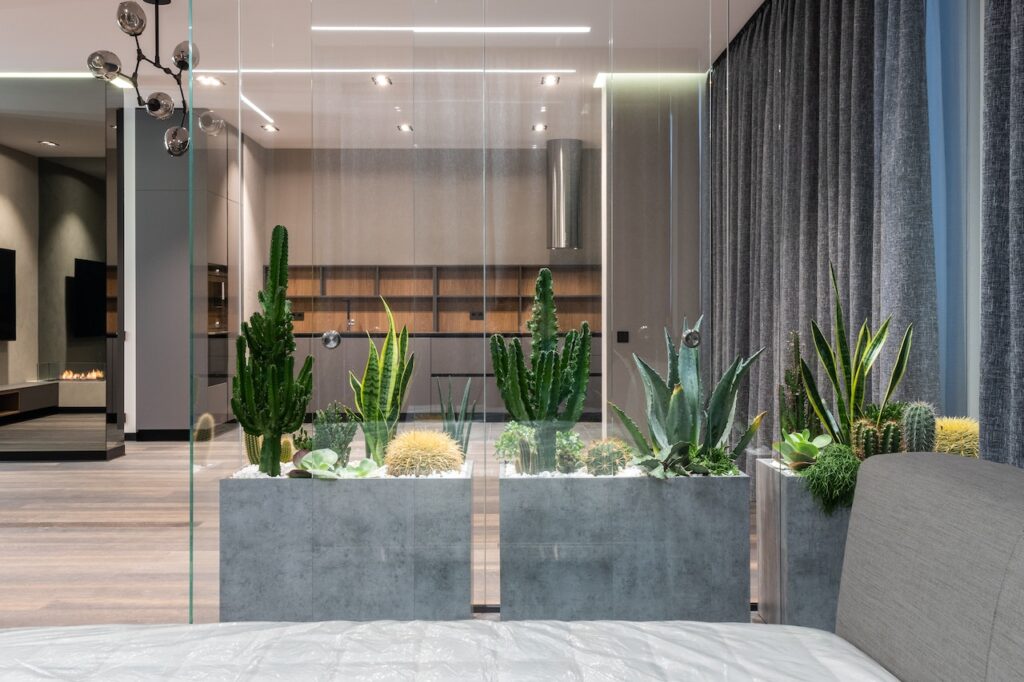Biophilic interior design plants