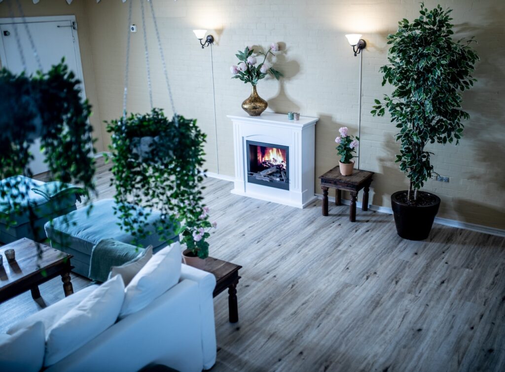 Biophilic living room hanging plants