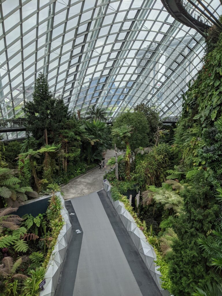 Indoor nature biophilic architecture