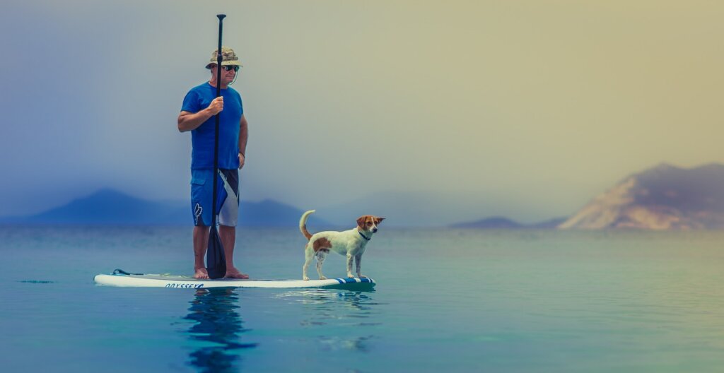 Paddleboarding man and dog