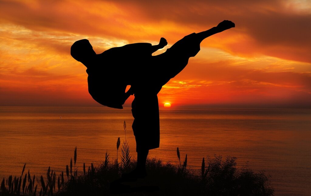 Karate hobbies Japanese